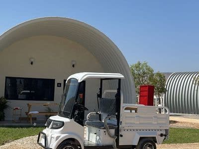 קלאב קאר חשמלי + ארגז נשיאה