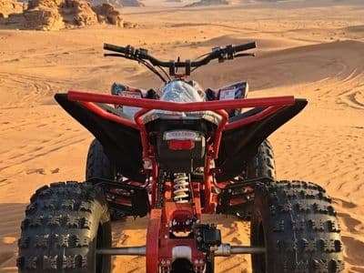 TIGER 77