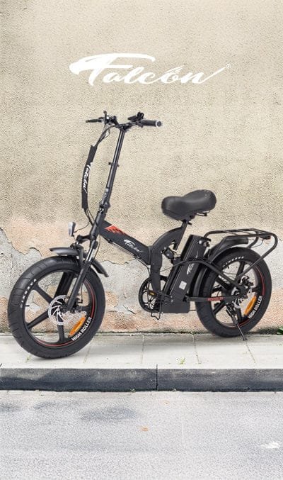 FALCON HIGH ROLLER – תמונה 8