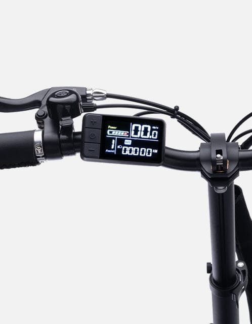 FALCON HIGH ROLLER – תמונה 7