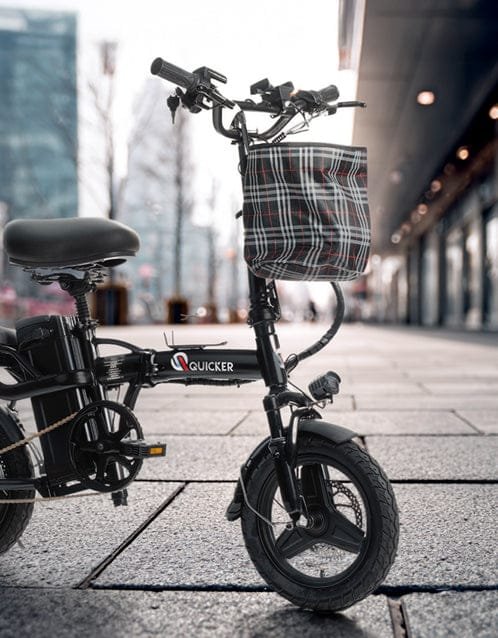 Quicker MINI -48V/10AH – תמונה 9